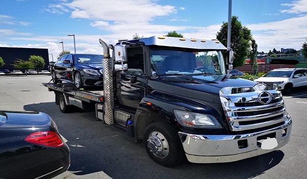 Shipping Vehicles for Film Shoots